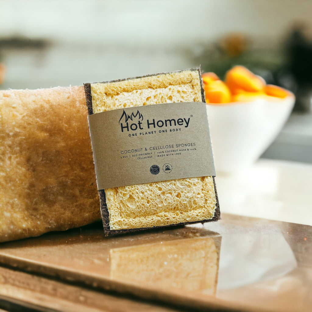 Sponge - Hot Homey~Coconut And Cellulose Sponge